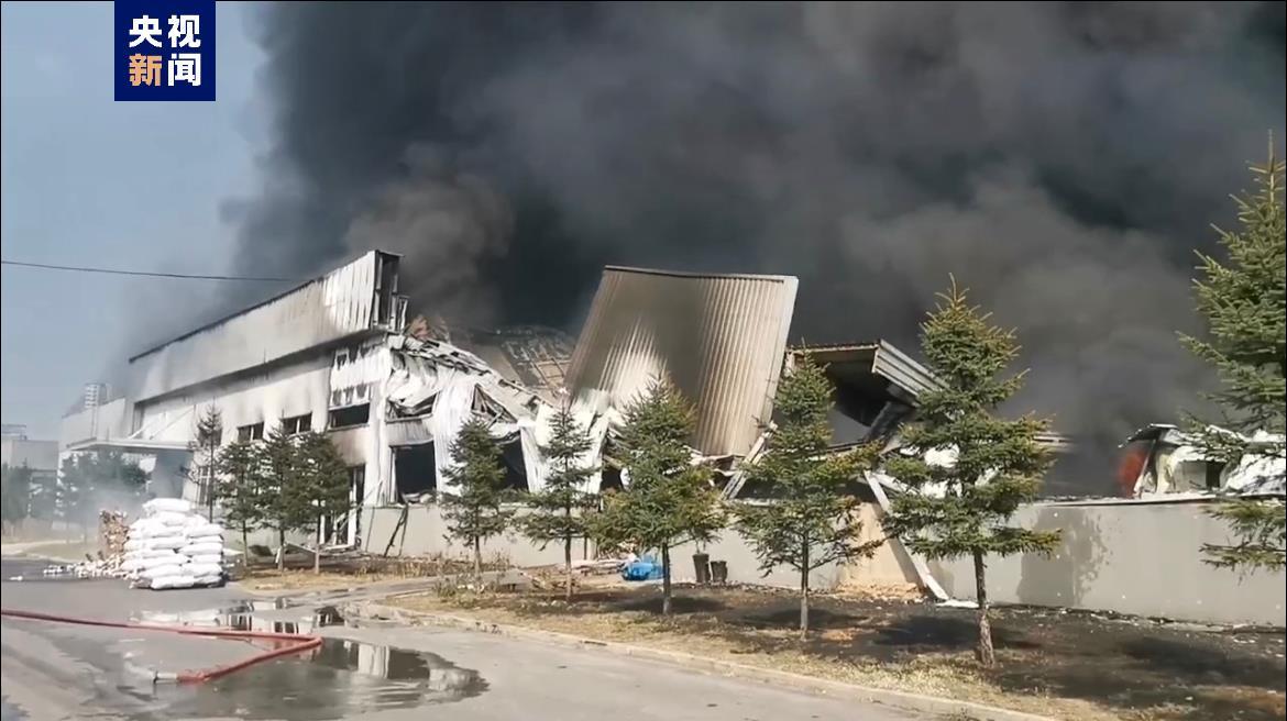 噢门新甫京在线